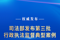 行政执法监督典型案例 数字赋能优化营商环境