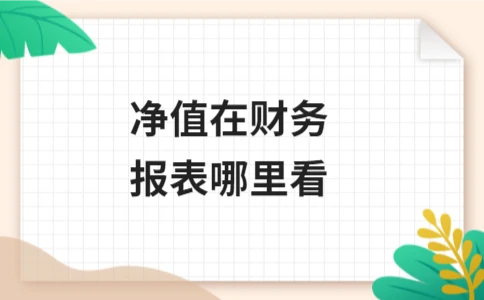 净值在财务报表哪里看