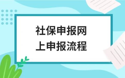 社保申报网上申报流程