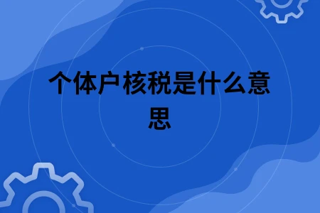 个体户核税是什么意思