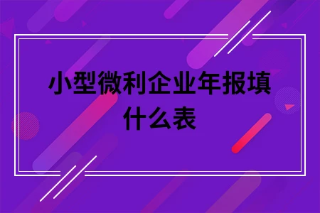 小型微利企业年报填什么表