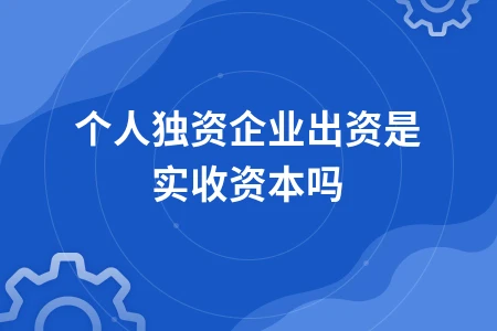 个人独资企业出资是实收资本吗
