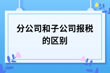 分公司和子公司报税的区别