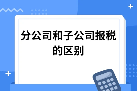 分公司和子公司报税的区别