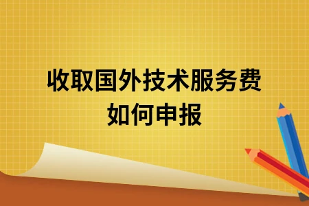 收取国外技术服务费如何申报