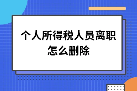 个人所得税人员离职怎么删除