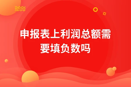 申报表上利润总额需要填负数吗