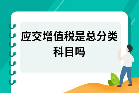 应交增值税是总分类科目吗