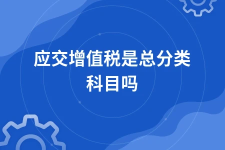 应交增值税是总分类科目吗