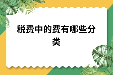 税费中的费有哪些分类
