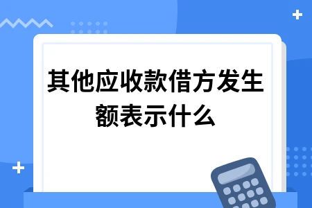 其他应收款借方发生额表示什么