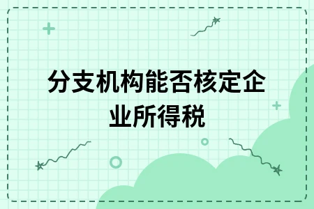 分支机构能否核定企业所得税