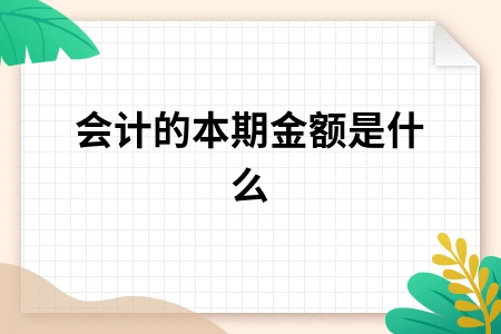 会计的本期金额是什么
