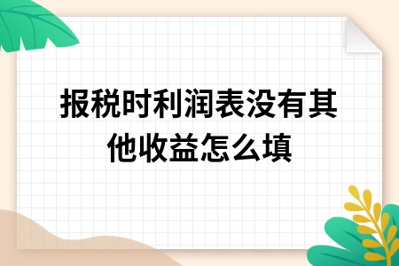报税时利润表没有其他收益怎么填