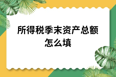 所得税季末资产总额怎么填