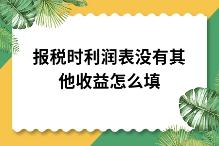 报税时利润表没有其他收益怎么填