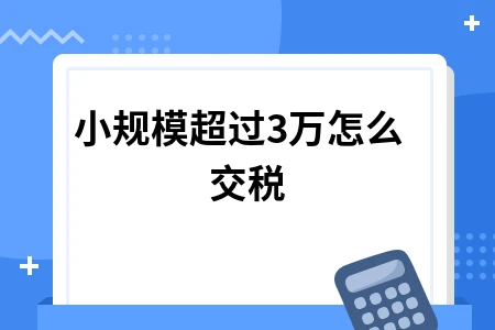 小规模纳税人超30万如何缴税？免税政策解析