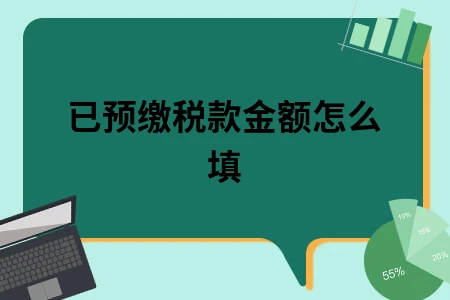已预缴税款金额怎么填