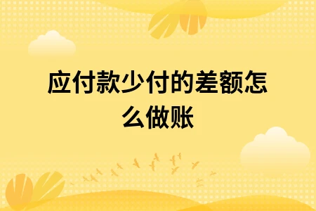 应付款少付的差额怎么做账