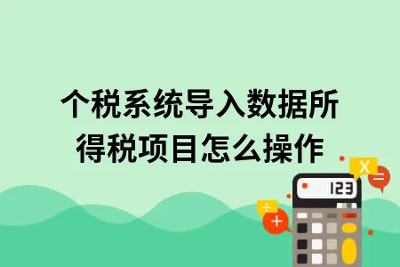 个税系统导入数据所得税项目怎么操作