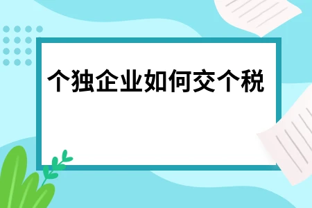 个独企业如何交个税