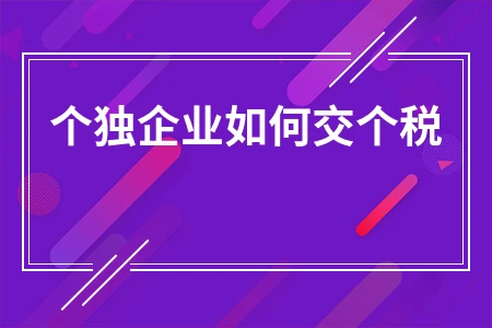 个独企业如何交个税