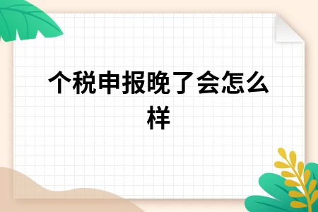 个税申报晚了会怎么样