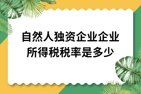 自然人独资企业企业所得税税率是多少