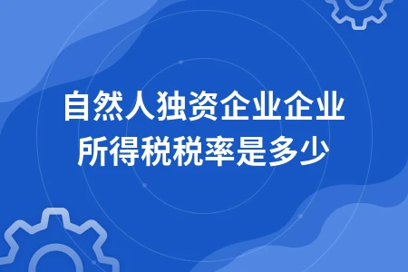 自然人独资企业企业所得税税率是多少