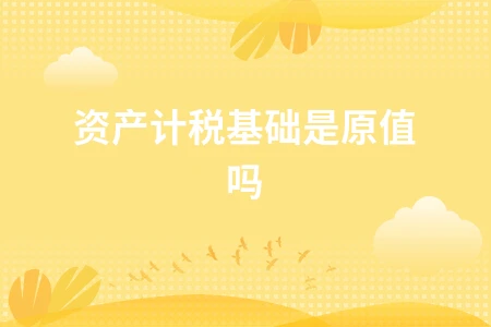 资产计税基础是原值吗