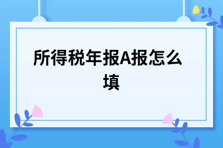 所得税年报A报怎么填