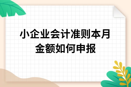 小企业会计准则本月金额如何申报