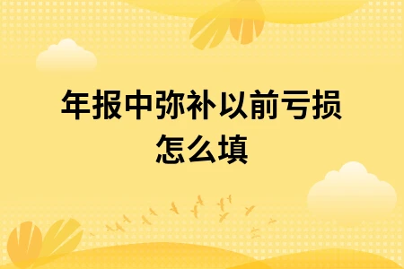 年报中弥补以前亏损怎么填 年报中弥补以前亏损怎么填