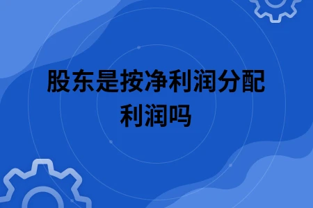 股东是按净利润分配利润吗
