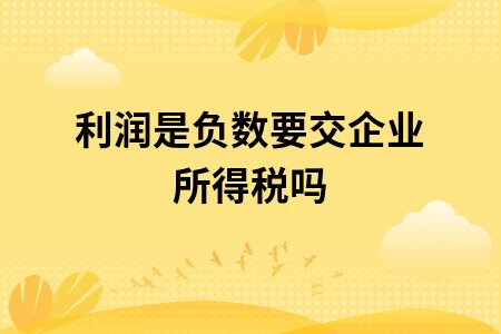 利润是负数要交企业所得税吗 利润是负数要交企业所得税吗