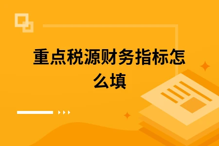 重点税源财务指标怎么填