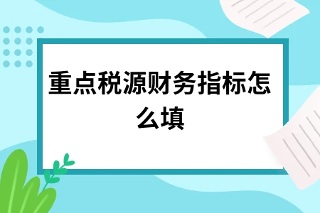 重点税源财务指标怎么填