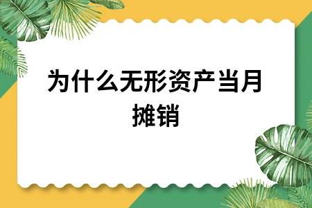 为什么无形资产当月摊销