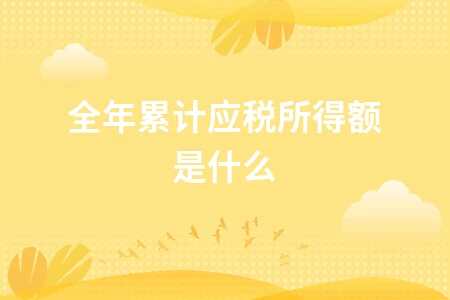 全年累计应税所得额是什么