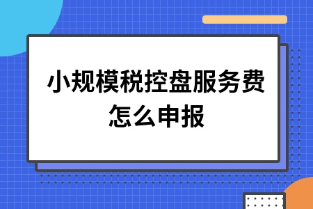 小规模税控盘服务费怎么申报