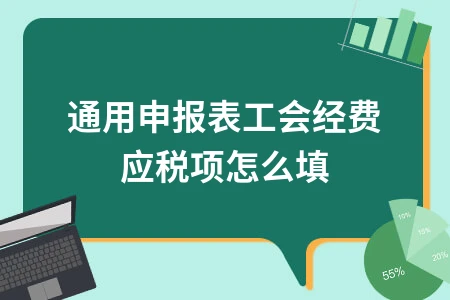 通用申报表工会经费应税项怎么填