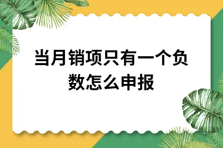 当月销项只有一个负数怎么申报