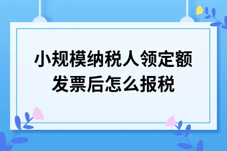 小规模纳税人领定额发票后怎么报税 小规模纳税人领定额发票后怎么报税