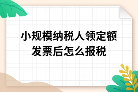 小规模纳税人定额发票报税流程及注意事项