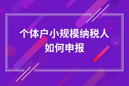 小规模纳税人申报流程与个人所得税处理指南