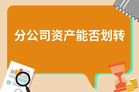 分公司资产划转规定与税务处理解析