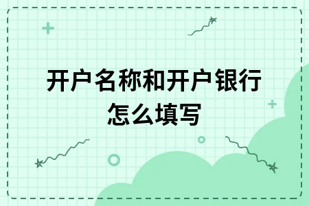 开户名称和开户银行怎么填写