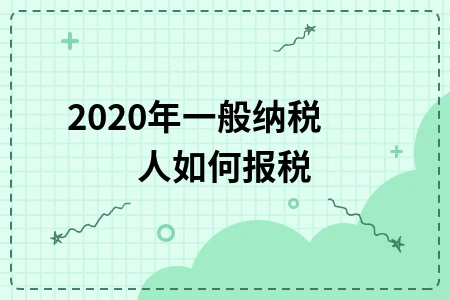 2020年一般纳税人如何报税
