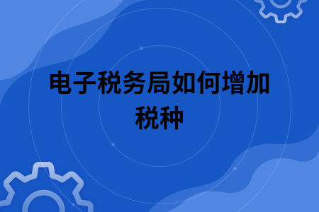 电子税务局如何增加税种