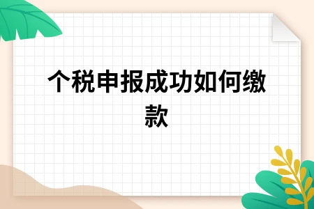 个税申报成功如何缴款